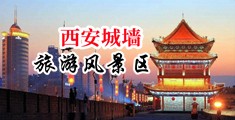 c骚逼中国陕西-西安城墙旅游风景区